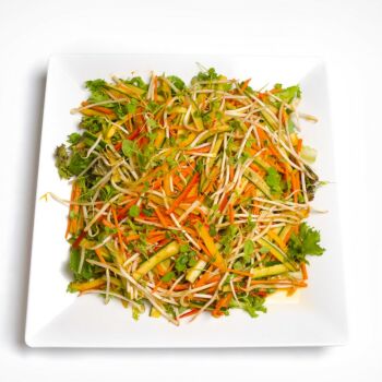 Platter of  Pan Asian Style Salad with Beansprouts