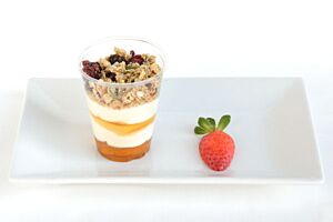 Organic Honey with Low Fat Greek Yoghurt and Granola