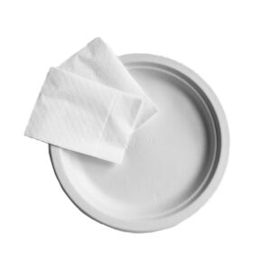 Compostable Paper Plates and Serviettes