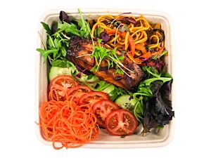 Teriyaki Style Salmon Salad with Noodles - Bento Box