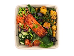 Oriental Salmon with Tofu and Green Beans and Edamame - Bento Box