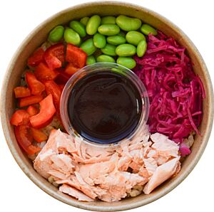 Teriyaki Salmon and Tempura Rice - Individual