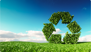 Sustainability Focus